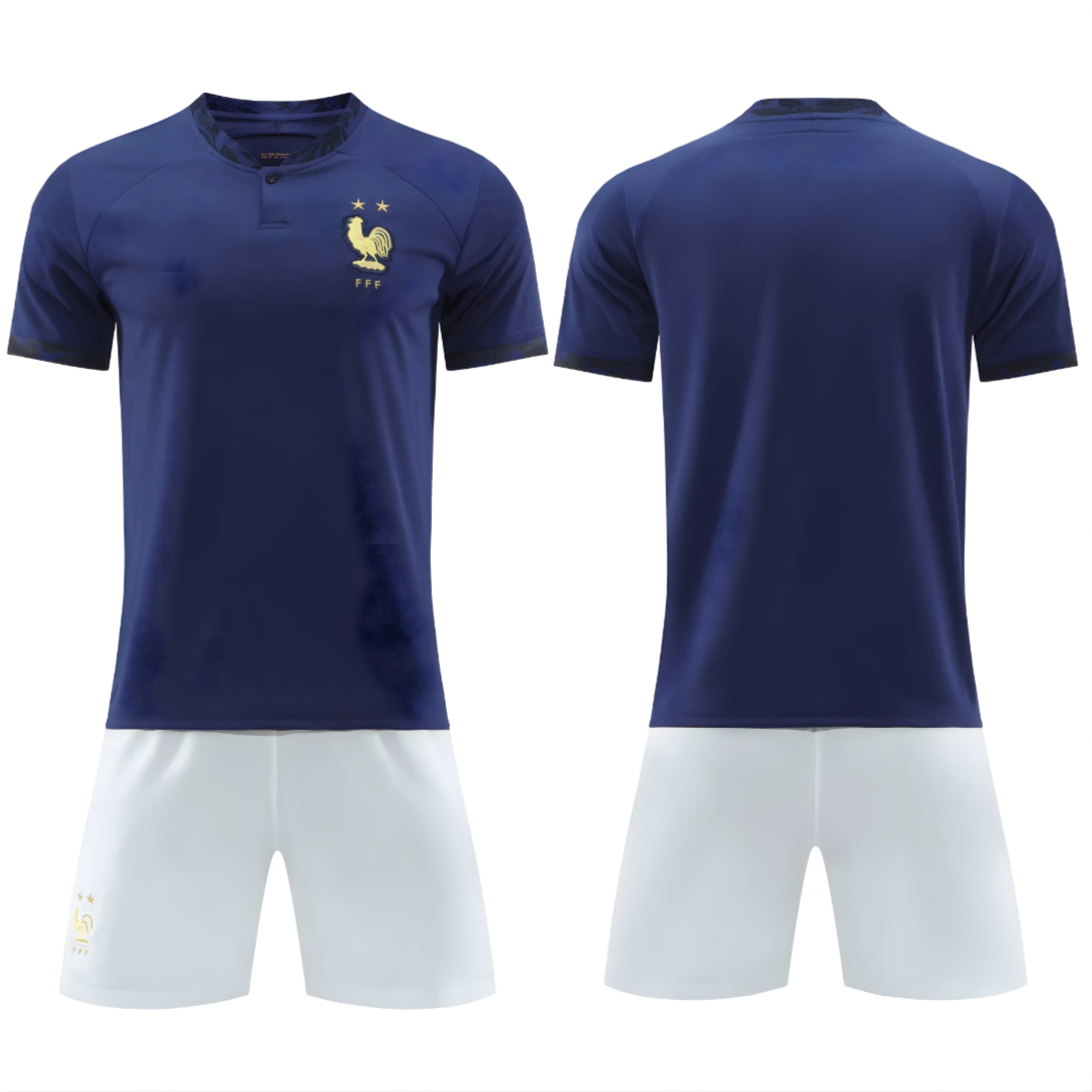 فرنسا عادي كأس العالم 2022